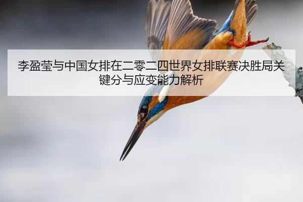 李盈莹与中国女排在二零二四世界女排联赛决胜局关键分与应变能力解析